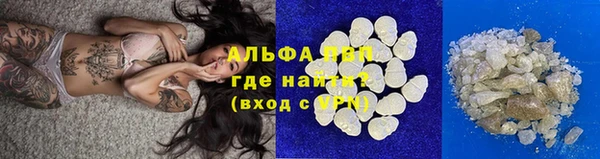 стаф Ладушкин