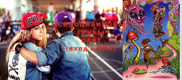 дживик Лагань