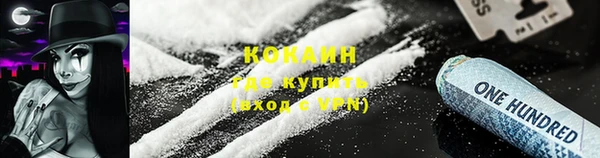 стаф Ладушкин