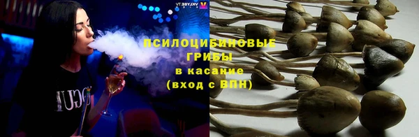 дживик Лагань