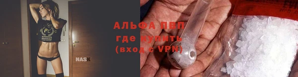 стаф Ладушкин