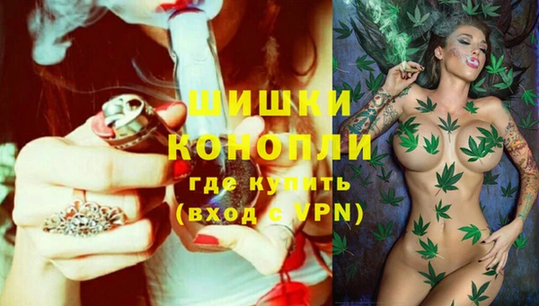 дживик Лагань