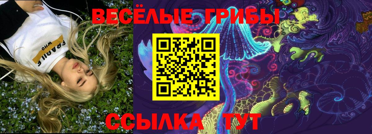 Псилоцибиновые грибы Psilocybe  Галлюциногенные грибы GOLDEN TEACHER  Вход с VPN  Черкесск 