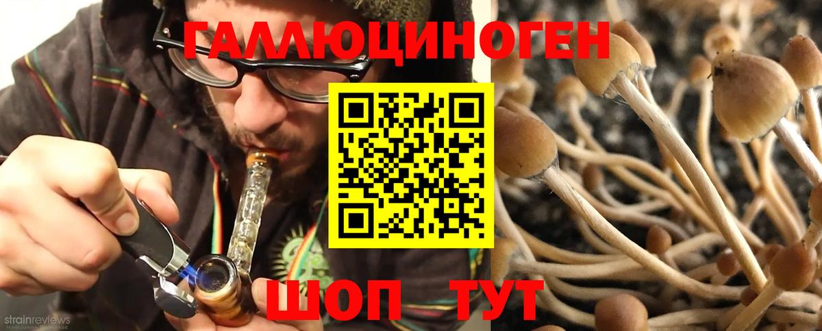Псилоцибиновые грибы мицелий Черкесск