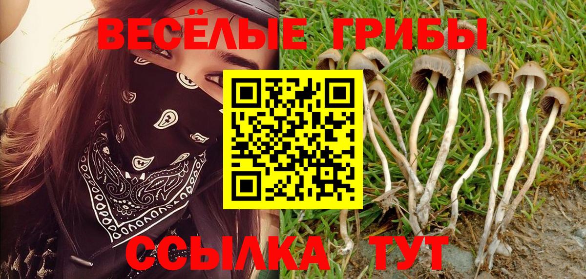 Псилоцибиновые грибы мухоморы Черкесск